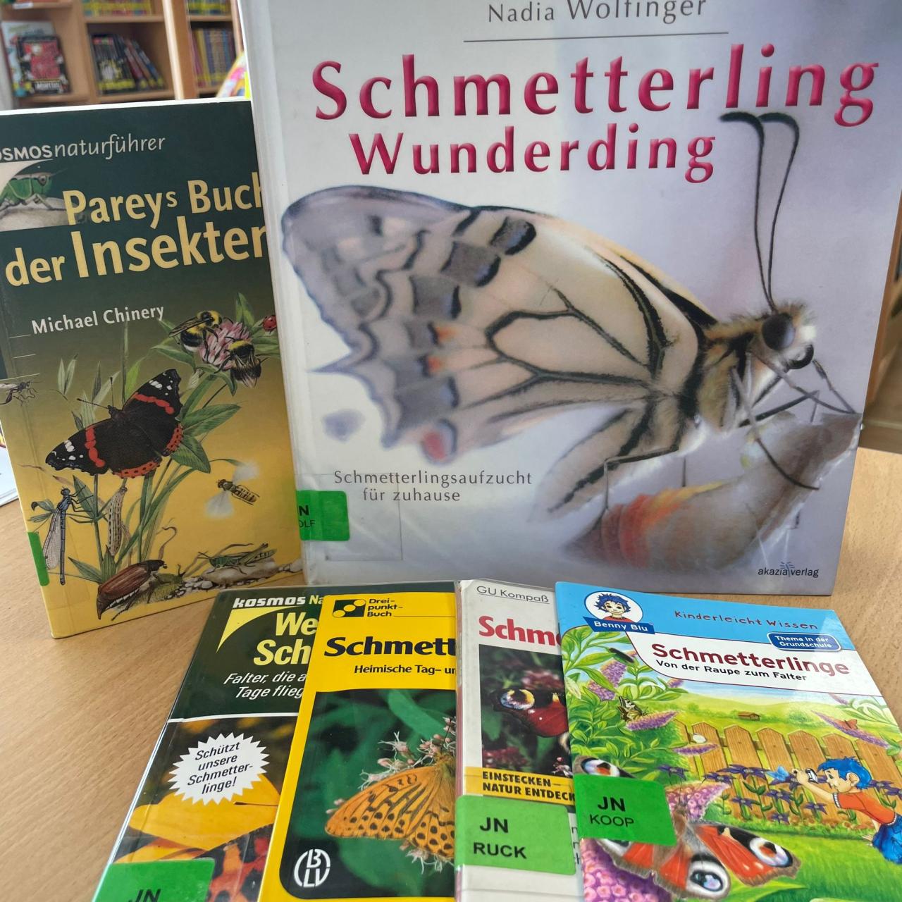 aufgereihte Bücher über Schmetterlinge