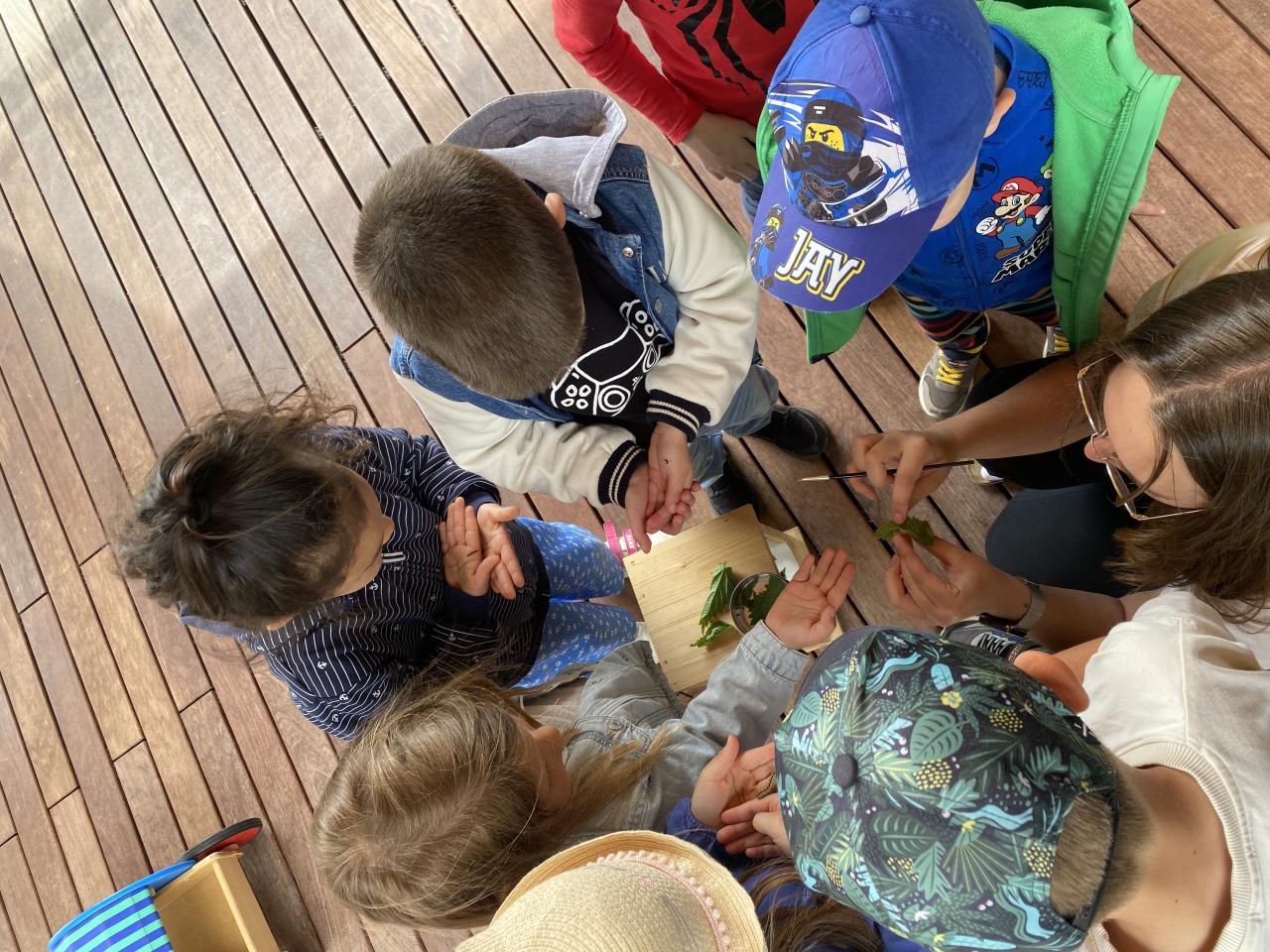 Kinder bestaunen eine Raupe auf der Hand