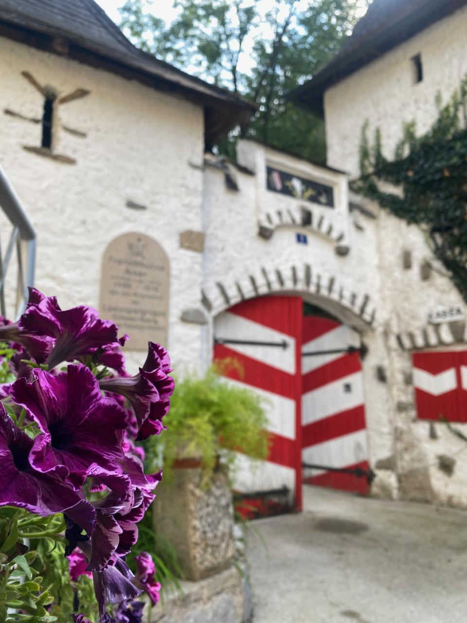 Blumen und im Hintergrund das Tor zur Aiserbühne