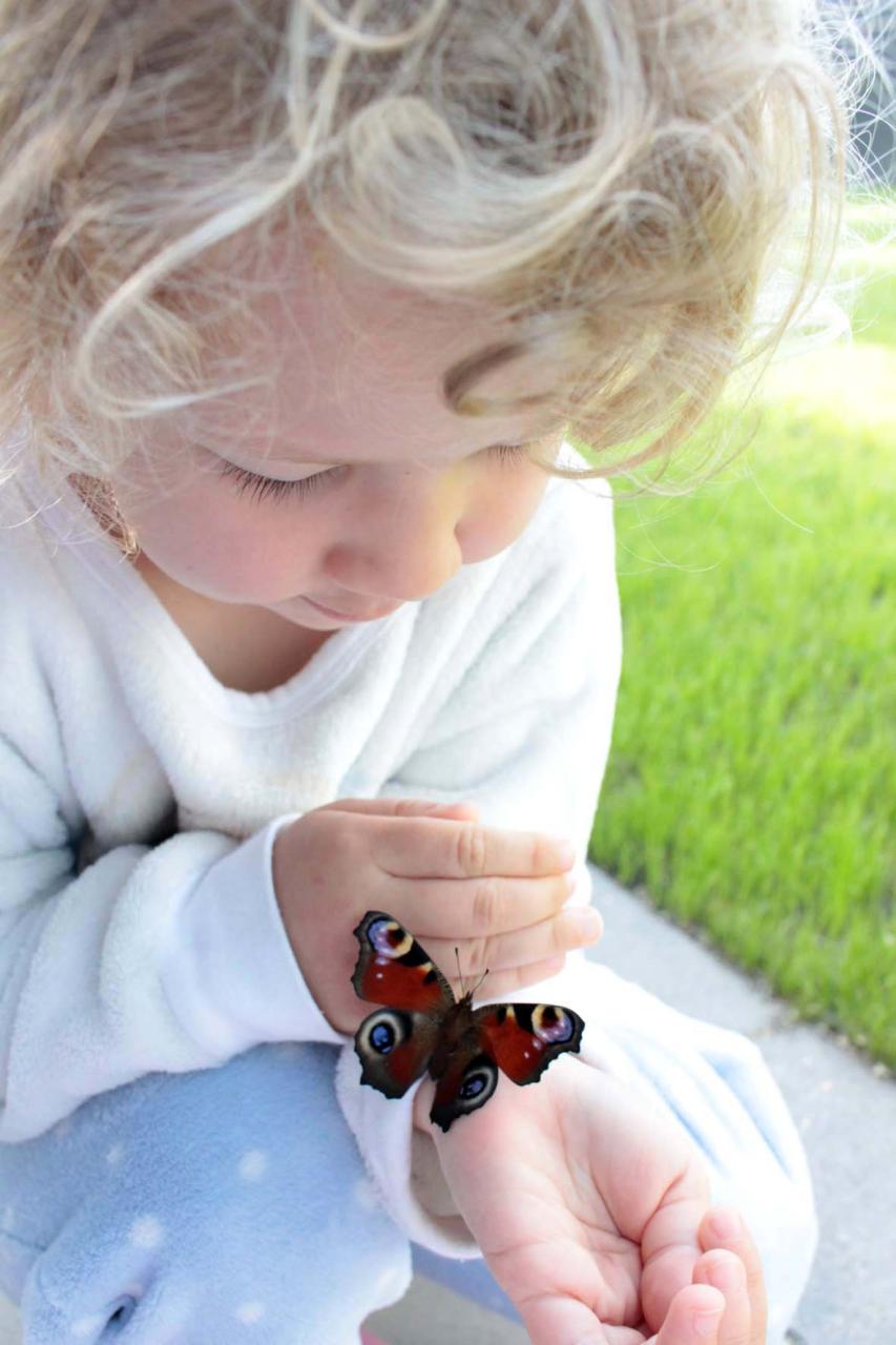 ein Mädchen hält einen Schmetterling auf der Hand