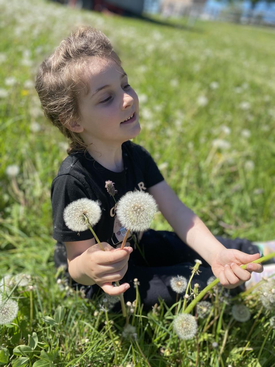 Pusteblume