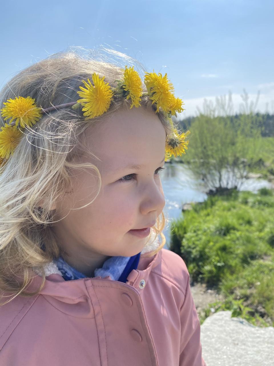 Pusteblume
