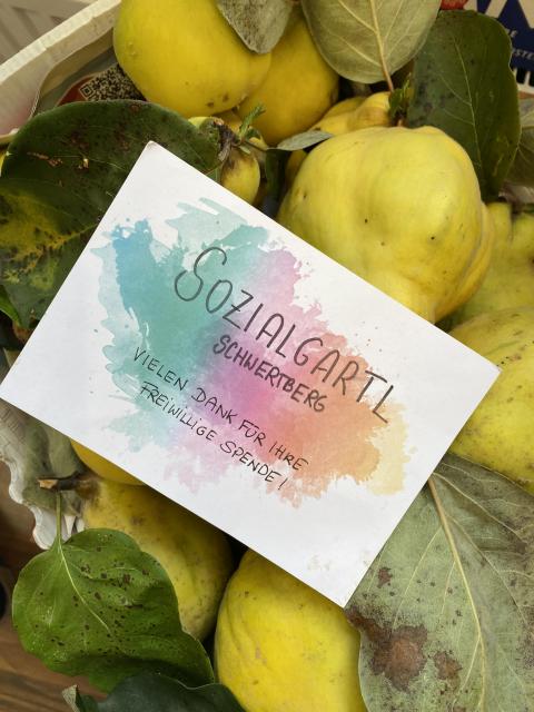 Sozialgartl Schwertberg